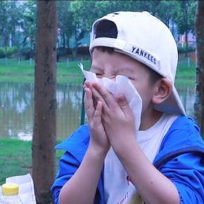 Biodegradable Facial Tissue and Paper napkin